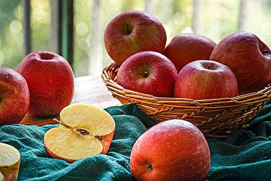 《最终前哨: 最终版》Steam试玩发布 生存策略建造